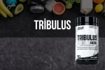 Tribulus