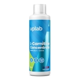 L-carnitine Concentrate 500 ml